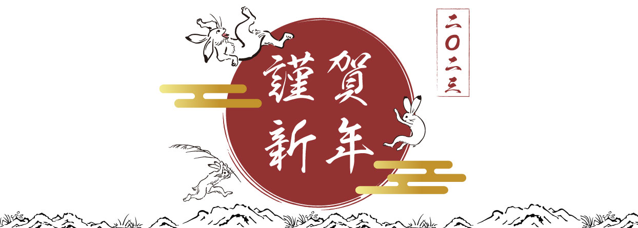 電子マネー ちょコムeマネー